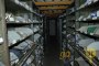 Vehicles Spare Parts Warehouse and Hardware Miscellaneous 4