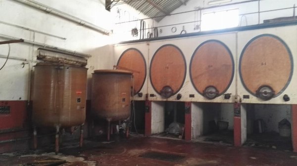 Entreprise viticole - Machines et équipements - Faillite 37/2020 - Tribunal de Foggia - Vente 4