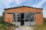 Capannone con tettoie e terreno con potenzialità edificatoria a Sanguinetto (VR) - LOTTO B8 4