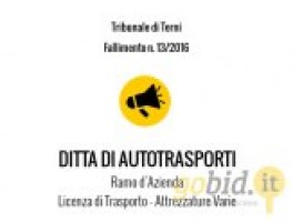 Ditta Autrotrasporti - Cessione ramo d'azienda - Fall. 13/2016 - Trib. di Terni - Vendita 2