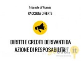 Diritti e Crediti per Azione di Responsabilità - Raccolta Offerte - Trib. di Vicenza