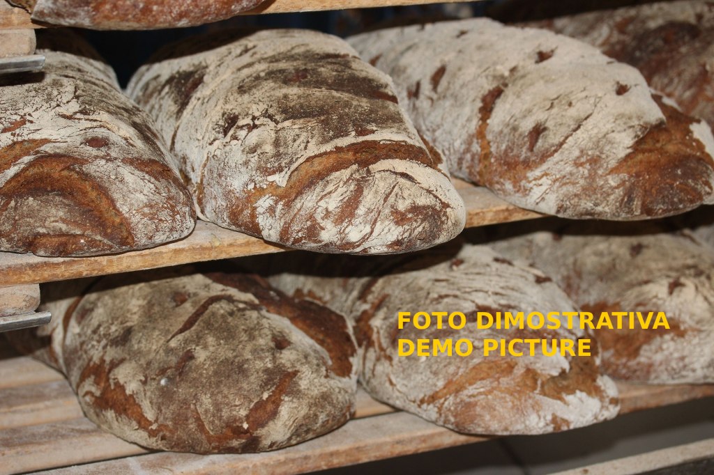 Business rental - Production of bread and biscuits - Bank. 5/2021 - Benevento Law Court