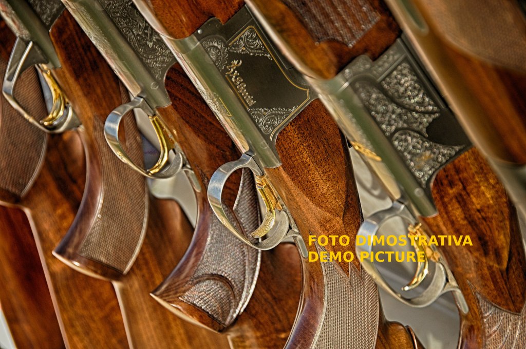 Lote de armas - Fall. 26/2016 - Trib. de Perugia - Anuncio 6