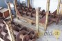 N. 40 Axle shafts for plows 3