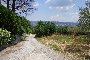 Plots of land in Morcone (BN) - LOT 2 4