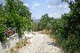 Plots of land in Morcone (BN) - LOT 2 6