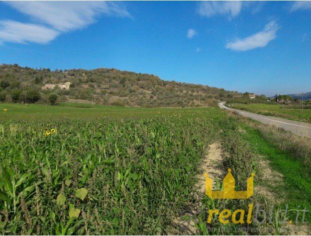 Agricultural land in Magione (PG) - LOT 2