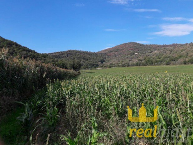 Agricultural land in Magione (PG) - LOT 2