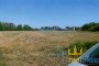 Agricultural land in Chiaravalle (AN) - LOT U 2