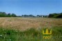 Agricultural land in Chiaravalle (AN) - LOT U 3