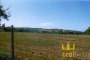 Agricultural land in Chiaravalle (AN) - LOT U 5