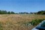 Agricultural land in Chiaravalle (AN) - LOT U 2