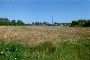 Agricultural land in Chiaravalle (AN) - LOT U 3