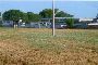 Agricultural land in Chiaravalle (AN) - LOT U 4