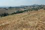 Area edificabile a Fermo - LOTTO M 5