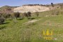 Agricultural lands in Montemesola (TA) LOT 3 5