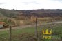 Agricultural lands in Lattarico (CS) LOT 5 4