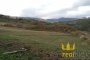 Agricultural lands in Lattarico (CS) LOT 5 5