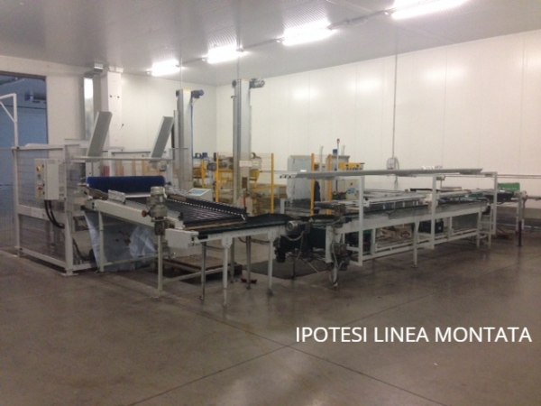 Fruit marketing - Machinery and equipment - Bank. 22/2019 - Verona L.C. - Sale 3
