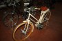Bicicletta Taurus 5