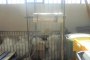 Metal Work Trolleys 3