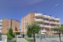 Apartment with exclusive courtyard and cellar in Porto Recanati (MC) - LOT X3 - SUB 91-249 2