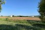 Terrain constructible à Orgiano et Asigliano Veneto (VI) 5