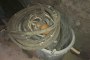 Primax Plaster Sprayer 2
