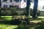 Historical villa in Scandicci (FI) 6