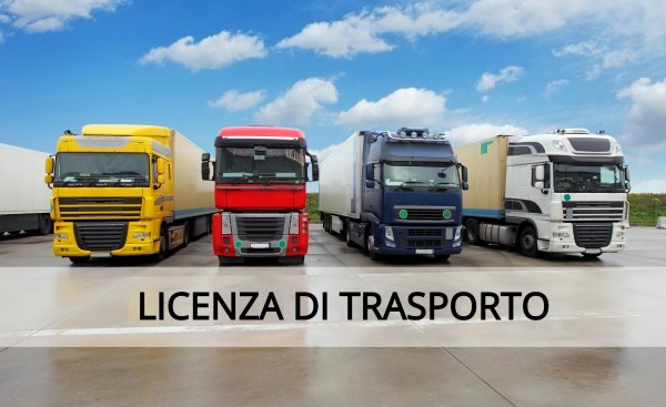 Ramo d'Azienda settore trasporti - Licenza, mezzi e attrezzature - Fall. 64/2018 -Trib. di Ancona 