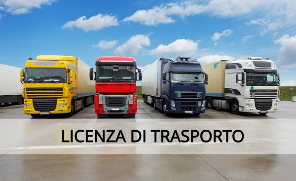 Ramo d'Azienda settore trasporti - Licenza, mezzi e attrezzature - Fall. 64/2018 -Trib. di Ancona 