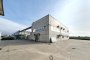 Industrial building in Zimella (VR) 4