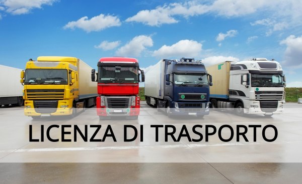 Business unit - Transport license - Bank. 92/2014 - Ancona Law Court