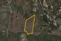 Land in Ventimiglia di Sicilia (PA) - LOT 5 1