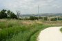 Poljoprivredna zemljišta u Osimu (AN) - LOT 19 3