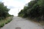 Area destinated to Piano di Zona in Sant'Angelo Romano (Roma) 4