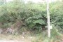Area destinated to Piano di Zona in Sant'Angelo Romano (Roma) 6