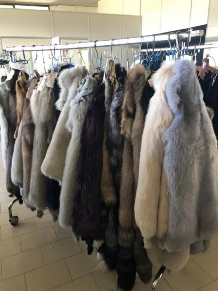 Furs shop - Materials and equipment - Bank. 64/2019 - Padua L.C. - Sale 8