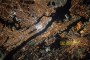 Satellite Image Archive 6
