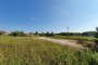 Productive area in Borgo Mantovano (MN) - LOT A11 1