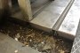 N. 6 Gietijzeren Stolle Platen 4