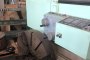 N. 3 Lathes 5