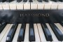 Hammond Organ and Roland Piano 3