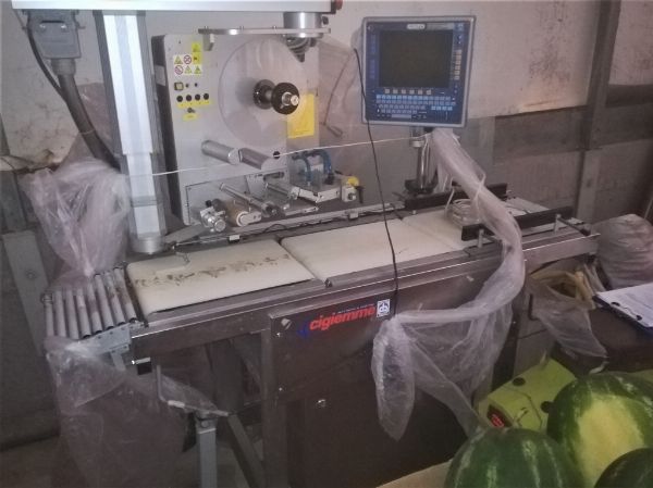 Labeling machine, strapping machine, equipment and materials - Full Liquidation Agreement no. 1/2018 - Court of Gela - Sale 10