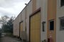 Capannone artigianale-industriale a Foligno (PG) - LOTTO 1 4