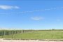 Rent out agricultural lands in Aprilia (LT) 3