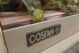 Costan Delicatessen Fridge Counter 3