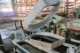 Lot of Miter Saws 2