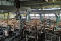 Slate Processing System 5