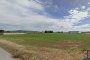 Zemljišče za gradnjo v Asigliano Veneto (VI) - LOT 2A 2